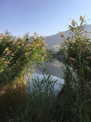 Alamut Hotel